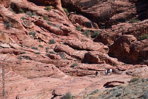 Photography Travel in USA