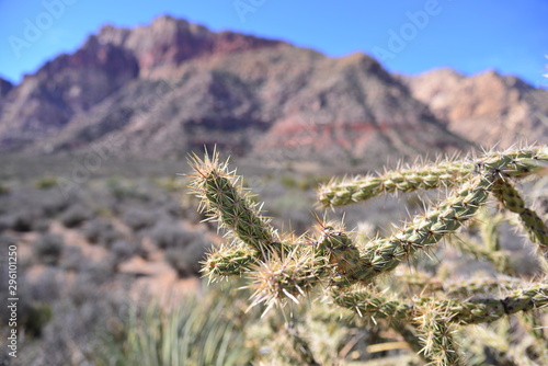 Photography Travel in USA