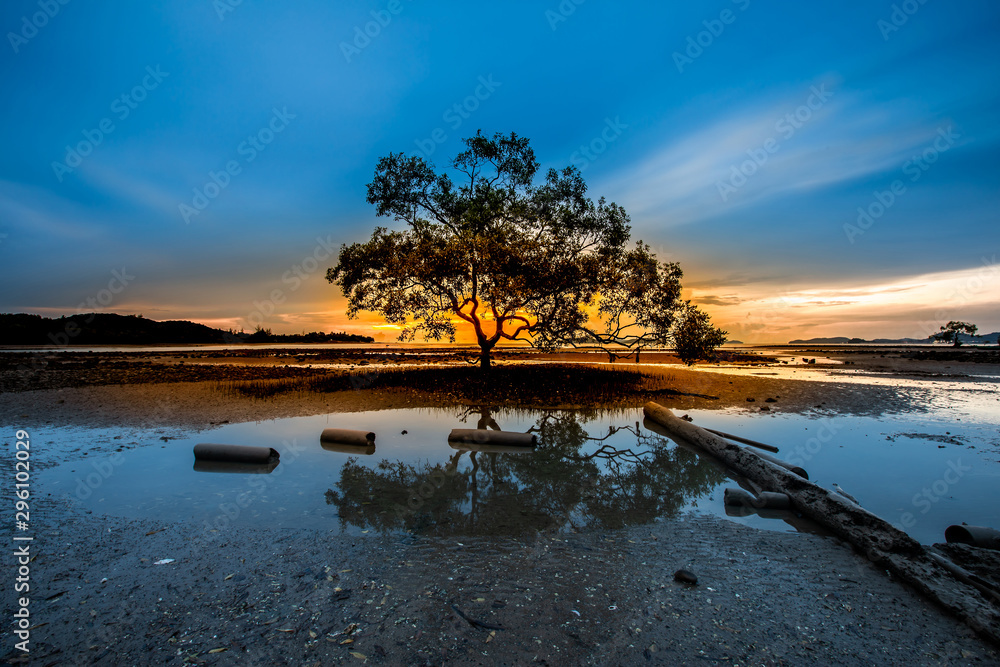 Tropical landscape with mangrove tree and morning sunrise on the beautiful beach at Ban Pak Had, Chumphon, Thailand.
