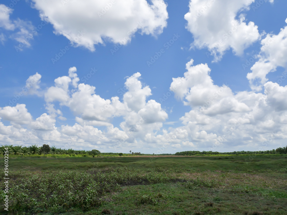 The sky and white clouds and grasslands