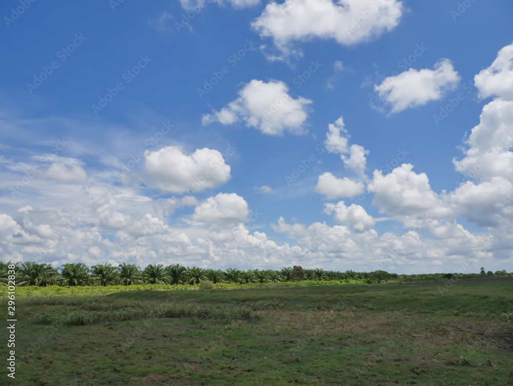 The sky and white clouds and grasslands