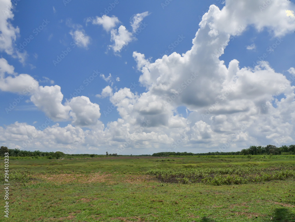 The sky and white clouds and grasslands The sky and white clouds and grasslands