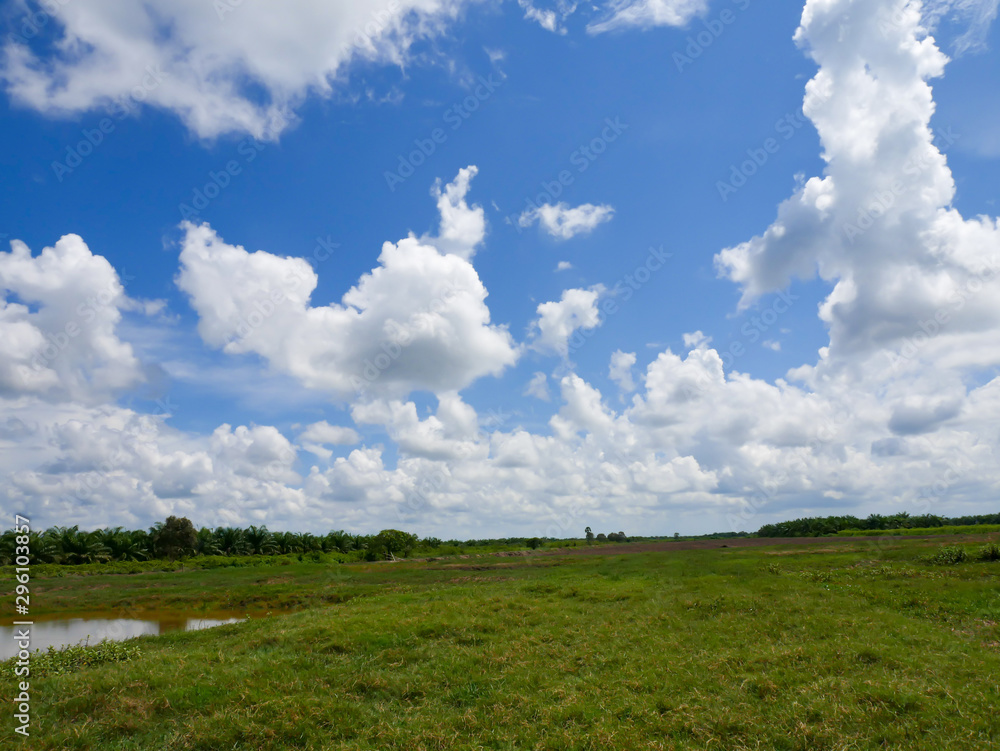 The sky and white clouds and grasslands The sky and white clouds and grasslands