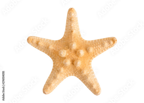 Starfish isolate on a white background. Beautiful dried starfish closeup.