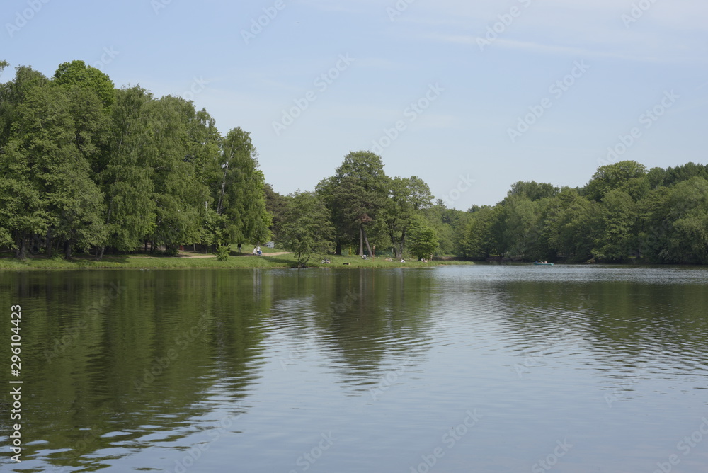 view of nature, water, trees against the horizon