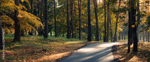 Colorful autumn morning in a city park. Panoramic view with trees, yellow-orange foliage, park asphalt path and side sunlight and highlights