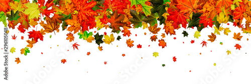 Fall season. Autumn leaves falling pattern isolated on white. Th