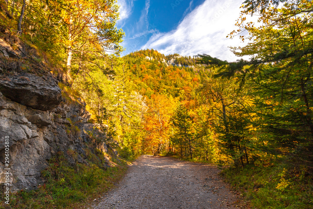 Mountain landscape in autumn sunny day. Hiking trail through Kvacianska valley, Slovakia, Europe. Mountain landscape in autumn sunny day. Hiking trail through Kvacianska valley, Slovakia, Europe.