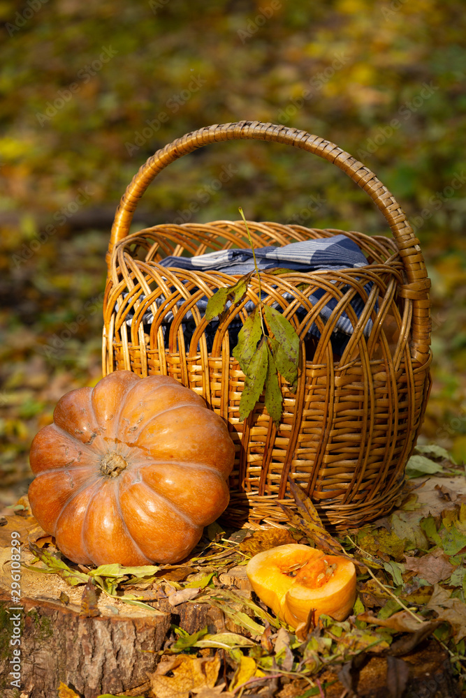 Autumn still life with orange pumpkins and leaves