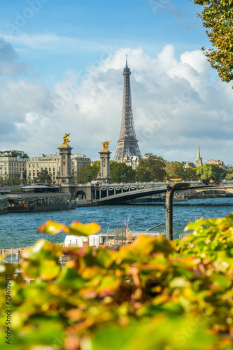 View to Eiffel tower and the Bridge of Alexandre III © Karina