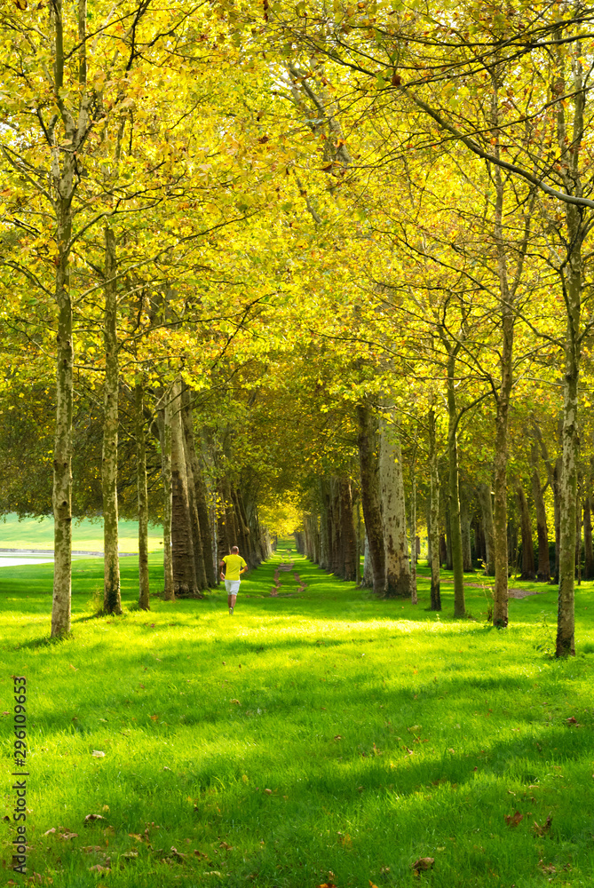 Naklejka premium Sportsmen is running in the forest