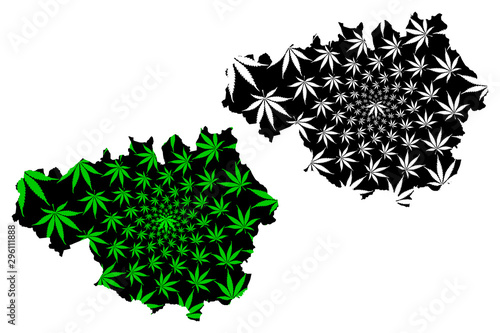 Greater Manchester (United Kingdom, England, Metropolitan county) map is designed cannabis leaf green and black, Greater Manchester map made of marijuana (marihuana,THC) foliage....