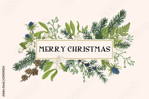 Christmas frame with winter plants.