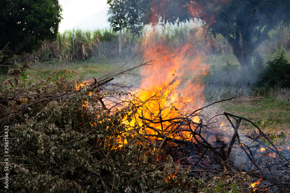 A burning fire on a pile of firewood A burning fire on a pile of firewood
