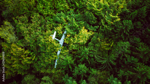 Crash landed glider plane in the woods
