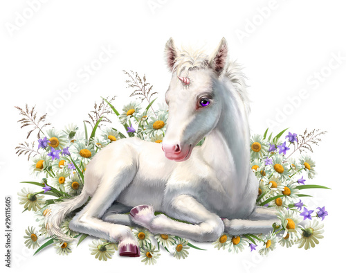 Obrazy Jednorożec  baby-unicorn-lies-in-flowers-isolated-on-white
