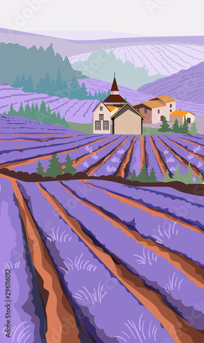 Lavender field with meadow fields and village houses