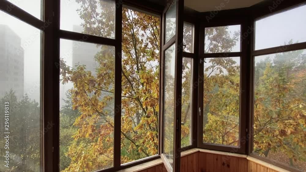 balcony autumn morning with fog autumn tree balcony autumn morning with fog autumn tree
