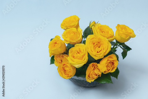 Bouquet of yellow roses is in a glass vase on a blue background. Flowers are horizontal close-up