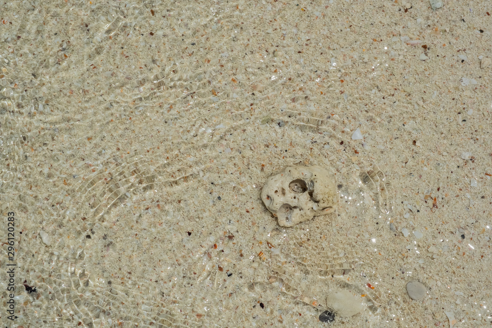 Sandy beach and sea is the background and texture. Sandy beach and sea is the background and texture.