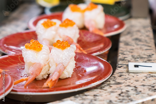 shrimp sushi that Japanese rice topping with shrimp and salmon egg placed in a red plate that placed on the belt