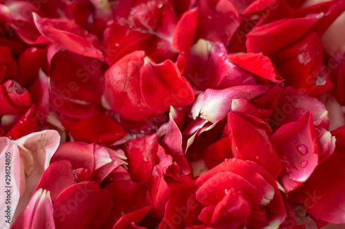 Red rose petals stacked in a row