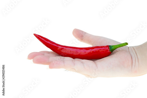 Close up red hot chili spur pepper on lady hand