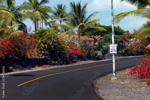 Attend to Speed Limit Near Golf Cart Intersection