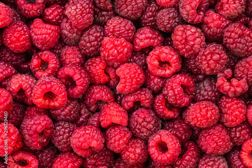 Fresh raspberries background closeup. Backdrop for your design . The concept of a healthy diet.