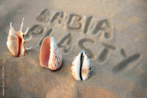 vagina-shaped seashell on the background of the inscription labiaplasty. female health concept photo
