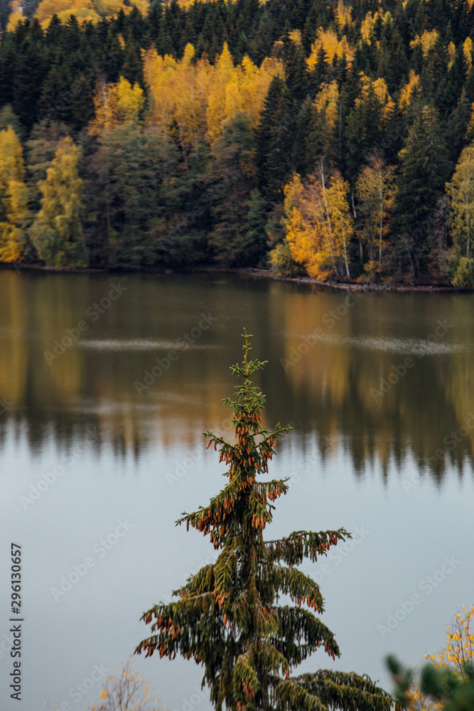 autumn finnish landscape with lake and forest