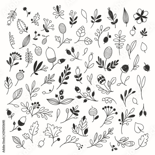 Vector Doodle Illustrations of Leaves, Twigs, Berries and Forest Objects