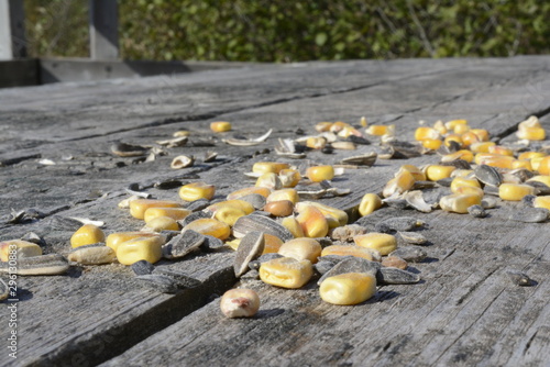 seeds on table