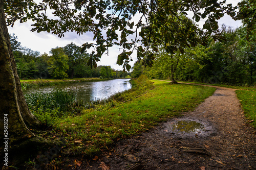 Autumn in Wanstead Park photo