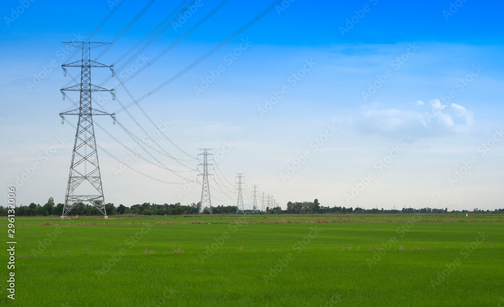 high voltage lines and power pylons with blue sky and green rice field ...