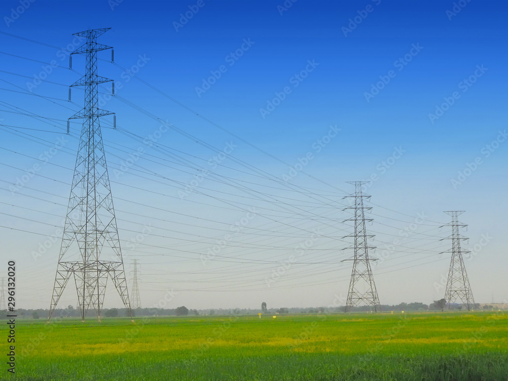high voltage lines and power pylons with blue sky and green rice field agricultural and meadow using for electrical transmission system background or banner concept, landscape shot photo.