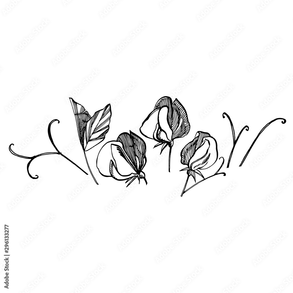 My Image 17