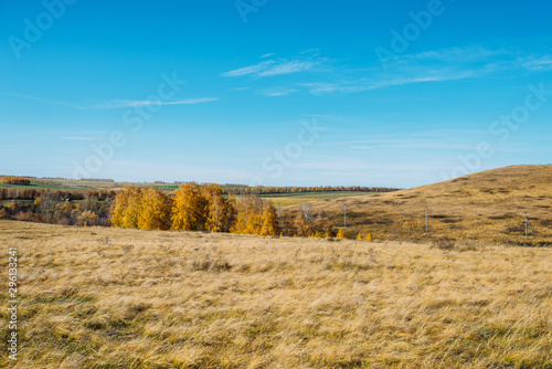 Beautiful autumn landscape overlooking the field and blue sky