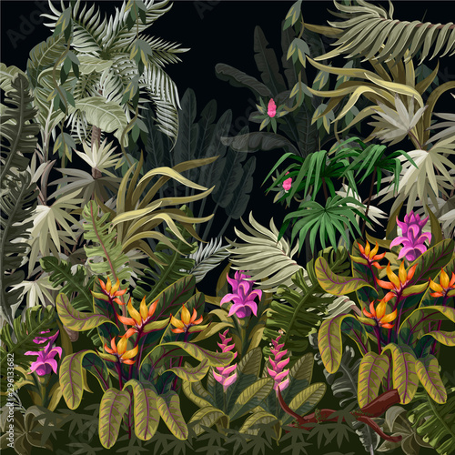 Obraz na płótnie trawa dziki dżungla