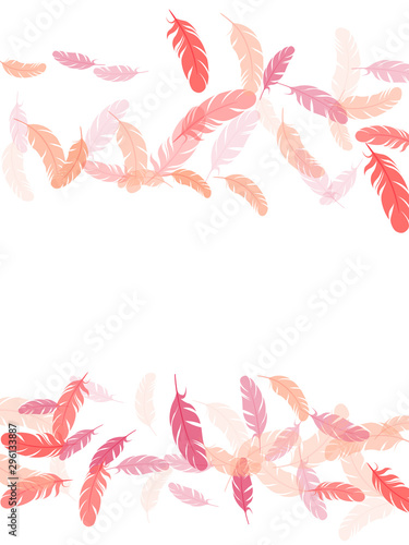 Falling feather elements soft vector design.