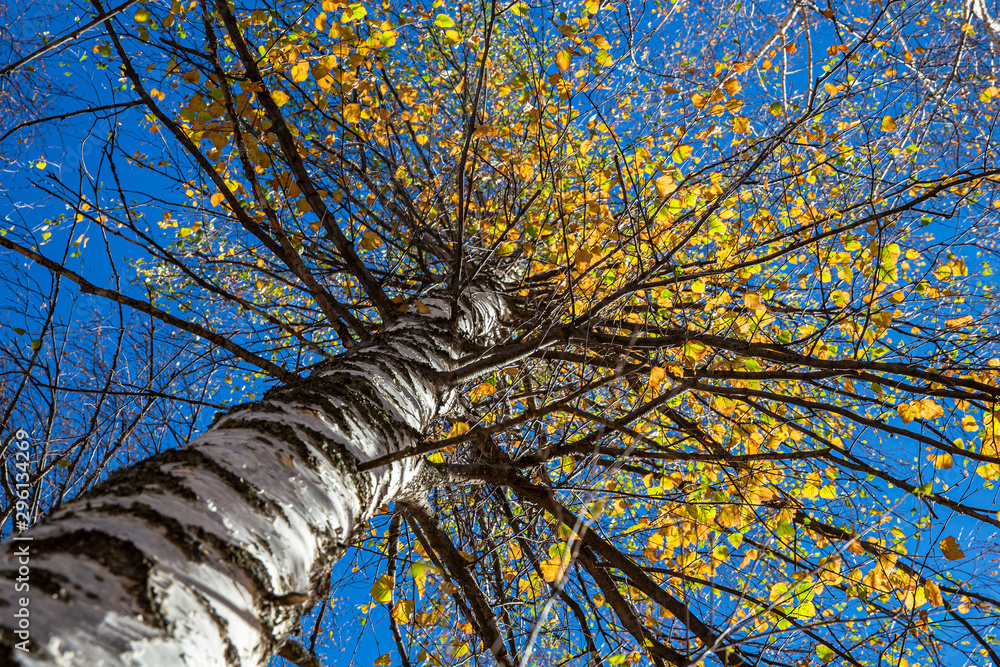 Fototapeta premium Allphotokz Ile-Alatau Park 20141011 8714 5DM3