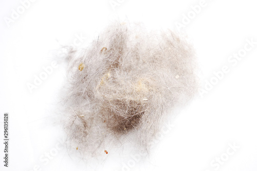 Fotografie Wad fur ball on white background