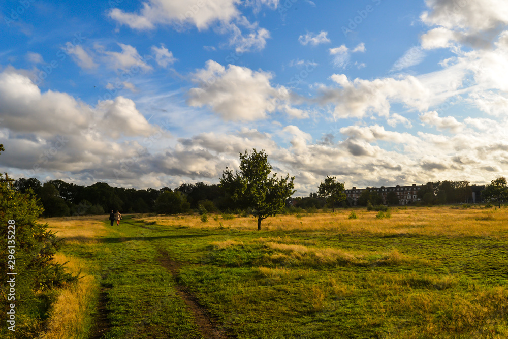 Epping forest in London