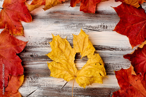 Colorful vertical frame of fallen autumn leaves