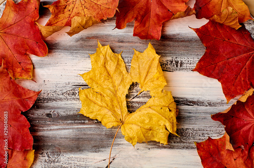 Colorful vertical frame of fallen autumn leaves
