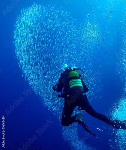 Photography Peces y Submarinista