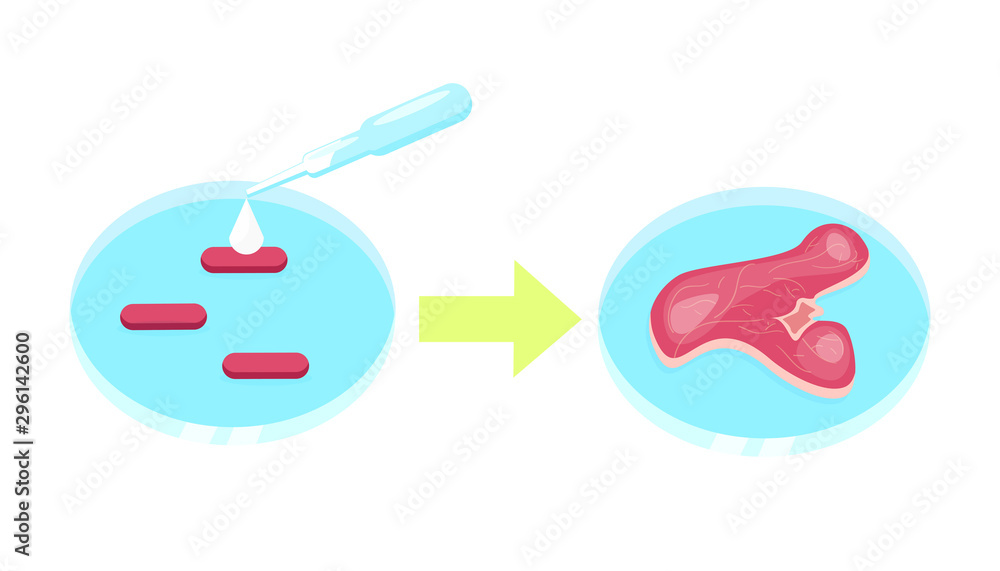 Lab Grown meat Lab Grown meat