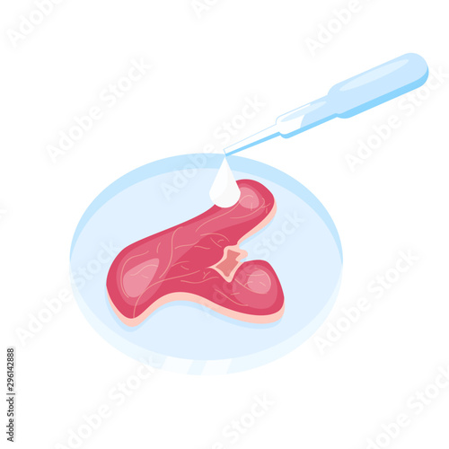 lab grown meat