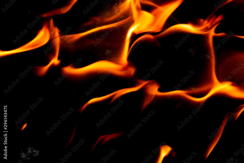 Fototapeta premium Bright blazing fire. Fire. The texture of fire.