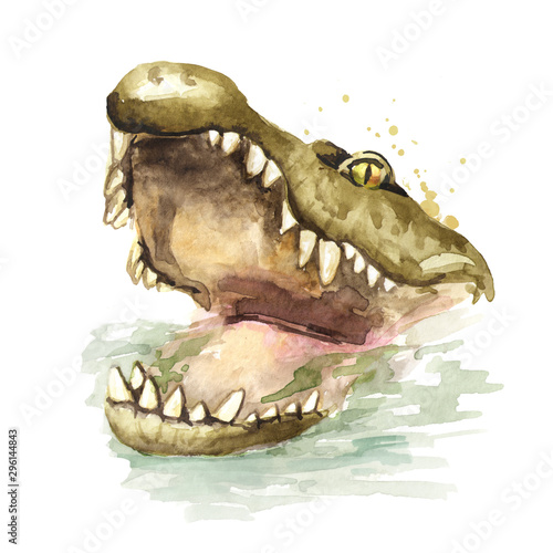 фотографія Head of Wild attacker forward crocodile or Alligator with open mouth